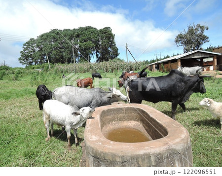 Malawi has a variety of tourist attraction sites including Lake Malawi, several national parks, game reserves, and Mulanje Mountain. 122096551