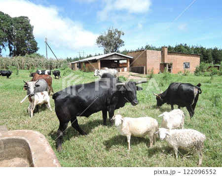 Malawi has a variety of tourist attraction sites including Lake Malawi, several national parks, game reserves, and Mulanje Mountain. 122096552