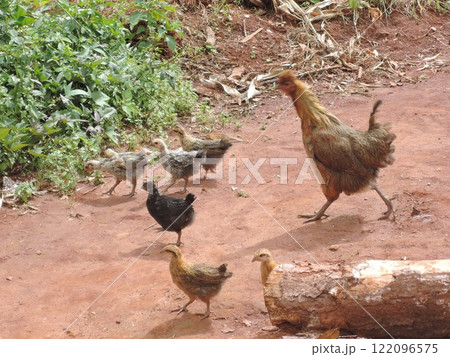 Malawi has a variety of tourist attraction sites including Lake Malawi, several national parks, game reserves, and Mulanje Mountain. 122096575