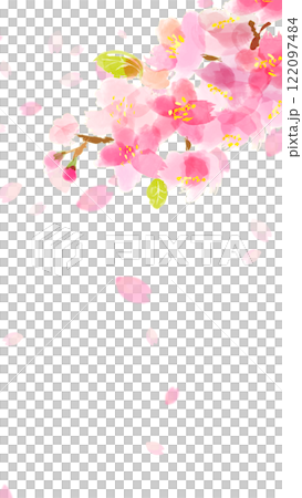 水彩櫻花樹枝和舞動花瓣的框架（垂直） 122097484