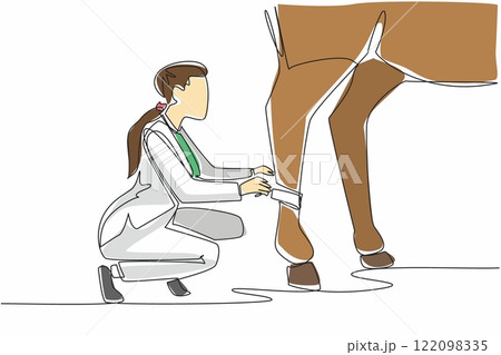 Single continuous line drawing a leg of horse is being bandaged by crouching female veterinarian. Done carefully. Fear of going berserk. National Help A Horse Day. One line design vector illustration Single continuous line drawing a leg of horse is being bandaged by crouching female veterinarian. Done carefully. Fear of going berserk. National Help A Horse Day. One line design vector illustration 122098335