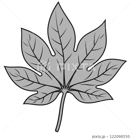 Tropical Plant Leaf for Decoration 122098550