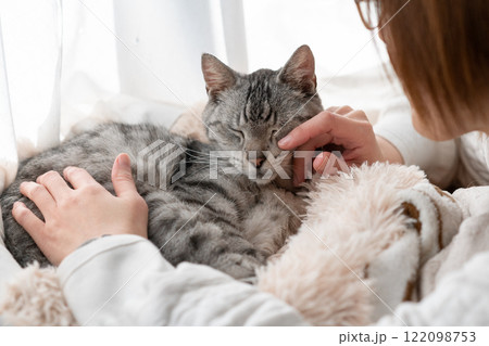 猫を撫でる飼い主　サバトラ猫 122098753