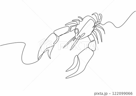Continuous one line drawing crawfish posing. Animal with claws. Served steamed. Brings out delicious shrimp broth pampers the tongue. National Crawfish Day. Single line draw design vector illustration Continuous one line drawing crawfish posing. Animal with claws. Served steamed. Brings out delicious shrimp broth pampers the tongue. National Crawfish Day. Single line draw design vector illustration 122099066