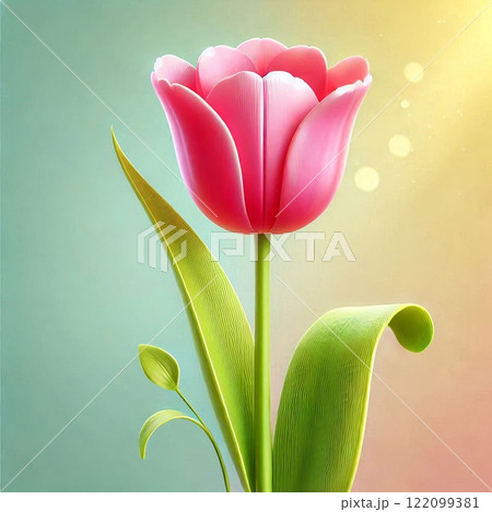 シンプルで美しいピンクのチューリップ シンプルで美しいピンクのチューリップ 122099381