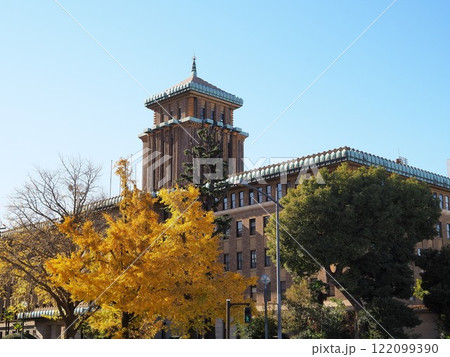 神奈川県 キングの塔と銀杏並木 12月 神奈川県 キングの塔と銀杏並木 12月 122099390