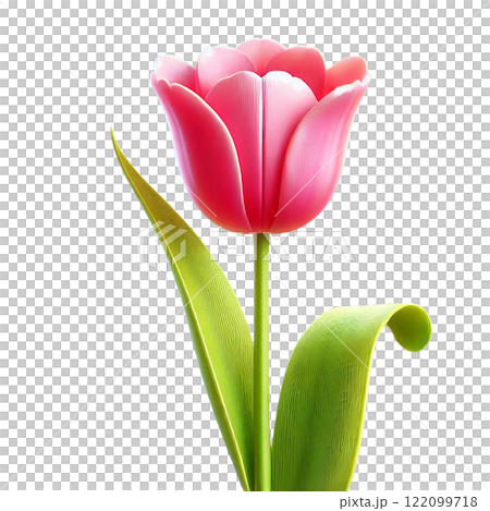 ピンクのチューリップ：優雅な春の象徴 122099718