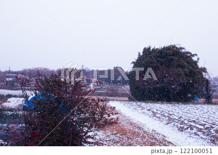 雪の降った朝 122100051