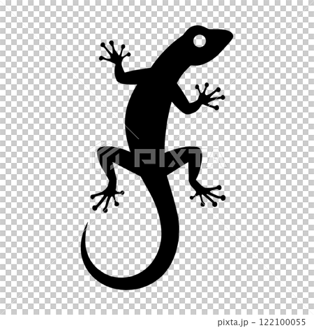 透明背景上的蜥蜴黑色剪影圖切口 122100055