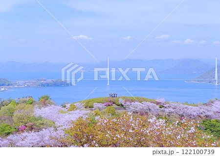 しまなみの桜 122100739