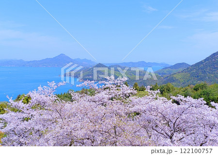 しまなみの桜 しまなみの桜 122100757
