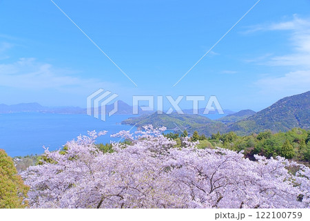 しまなみの桜 122100759