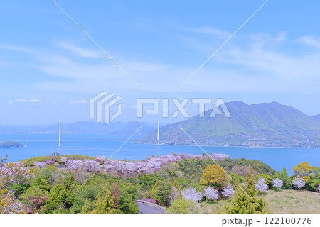しまなみの桜 しまなみの桜 122100776
