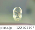 クォーツ 122101107
