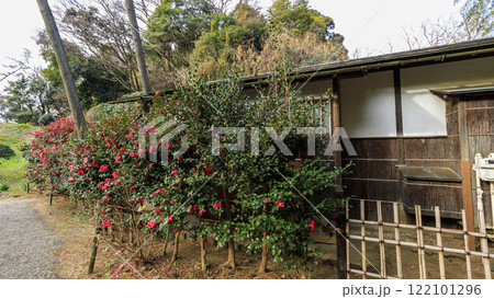 横浜市の名勝地の三渓園・三渓園の冬 横浜市の名勝地の三渓園・三渓園の冬 122101296