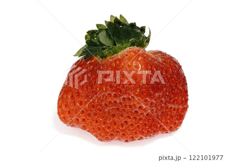 おいしいイチゴ 美濃娘 岐阜県産 122101977