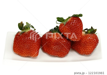 おいしいイチゴ 美濃娘 岐阜県産 122101981