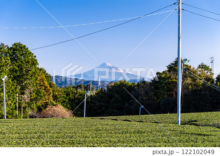 静岡県島田市から眺めるお茶畑と富士山 静岡県島田市から眺めるお茶畑と富士山 122102049