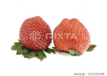 おいしいイチゴ あまりん 埼玉県産 おいしいイチゴ あまりん 埼玉県産 122102199