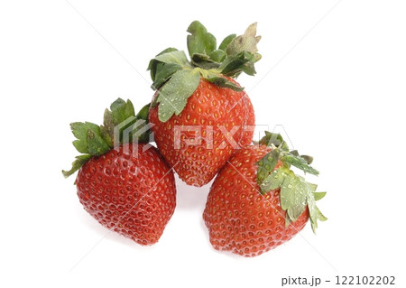 おいしいイチゴ あまりん　埼玉県産 122102202