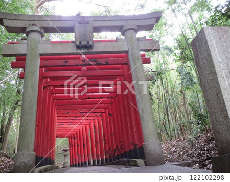 2014年・高松・屋島・風景・寺院・屋島寺・其の五十六 122102298