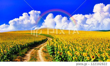 スペイン・アンダルシア地方の美しいひまわり畑 スペイン・アンダルシア地方の美しいひまわり畑 122102822