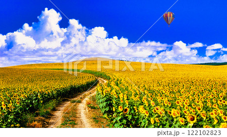 スペイン・アンダルシア地方の美しいひまわり畑 スペイン・アンダルシア地方の美しいひまわり畑 122102823