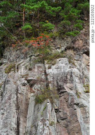 塩嶺累層　鉄平石 122103022