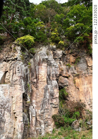 塩嶺累層　鉄平石 122103028