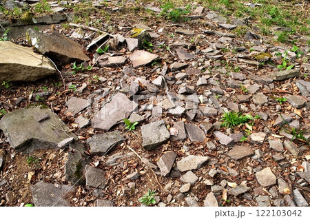 塩嶺累層 鉄平石 塩嶺累層 鉄平石 122103042