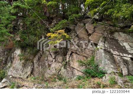 塩嶺累層　鉄平石 122103044