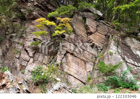 塩嶺累層　鉄平石 122103046