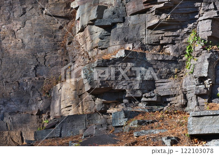 塩嶺累層　鉄平石 122103078