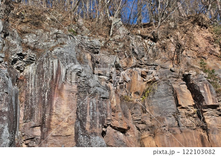 塩嶺累層　鉄平石 122103082