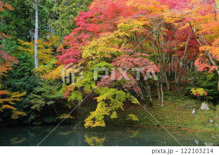 洞光寺の紅葉 洞光寺の紅葉 122103214
