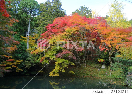 洞光寺の紅葉 122103216