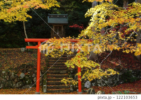 洞光寺の紅葉 122103653
