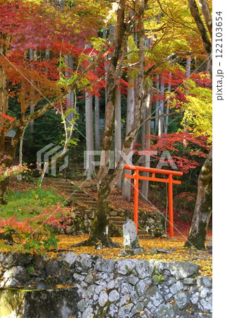 洞光寺の紅葉 122103654