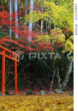 洞光寺の紅葉 122103655