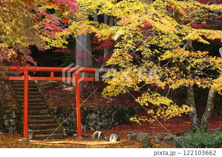 洞光寺の紅葉 122103662