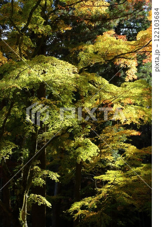 洞光寺の紅葉 122103684