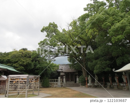2014年・高松・屋島・風景・寺院・屋島寺・其の五十七 2014年・高松・屋島・風景・寺院・屋島寺・其の五十七 122103687