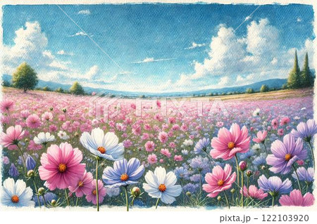 コスモス畑 122103920