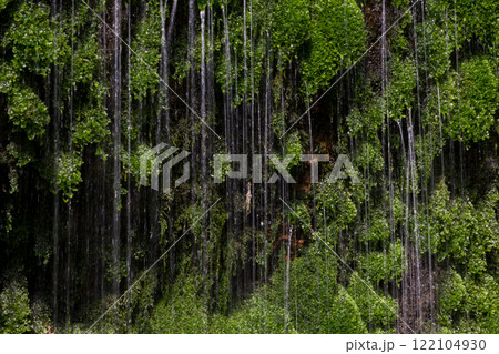 南阿蘇の苔滝 南阿蘇の苔滝 122104930
