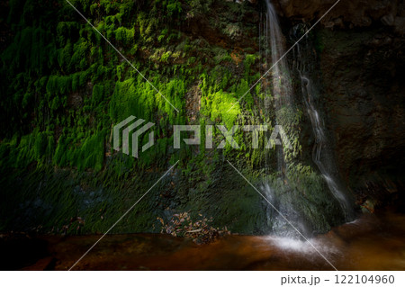 南阿蘇の苔滝 122104960