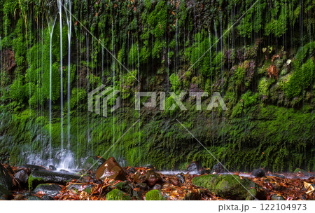 南阿蘇の苔滝 122104973