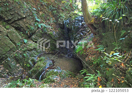 八王子城  御主殿の滝【東京都八王子市】 122105053