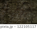 コンクリート壁に絡みついた枯れた蔦と落ち葉 122105117
