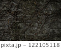 コンクリート壁に絡みつく枯れた蔦 122105118