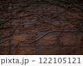 赤レンガの壁に絡みつく枯れた蔦 122105121